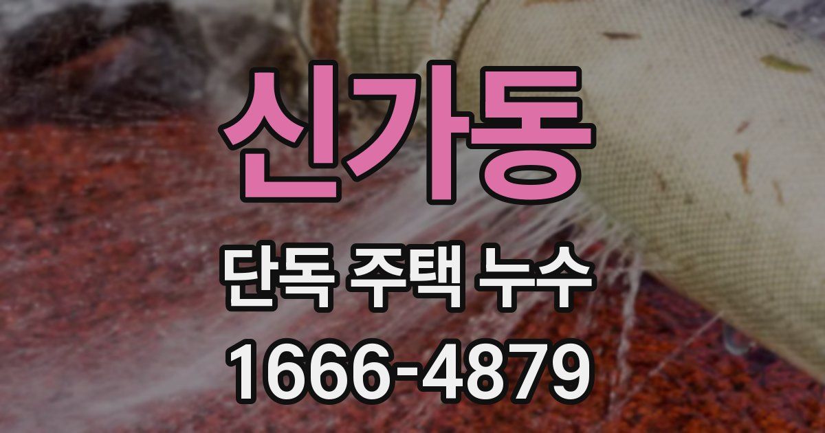 신가동 단독 주택 누수