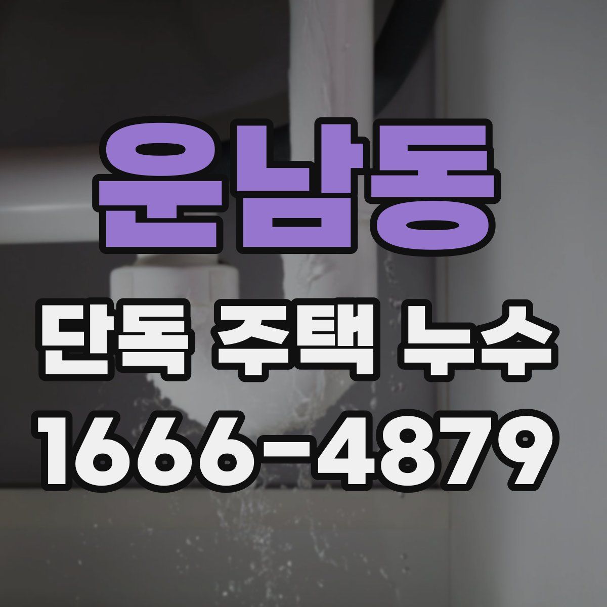 운남동 단독 주택 누수