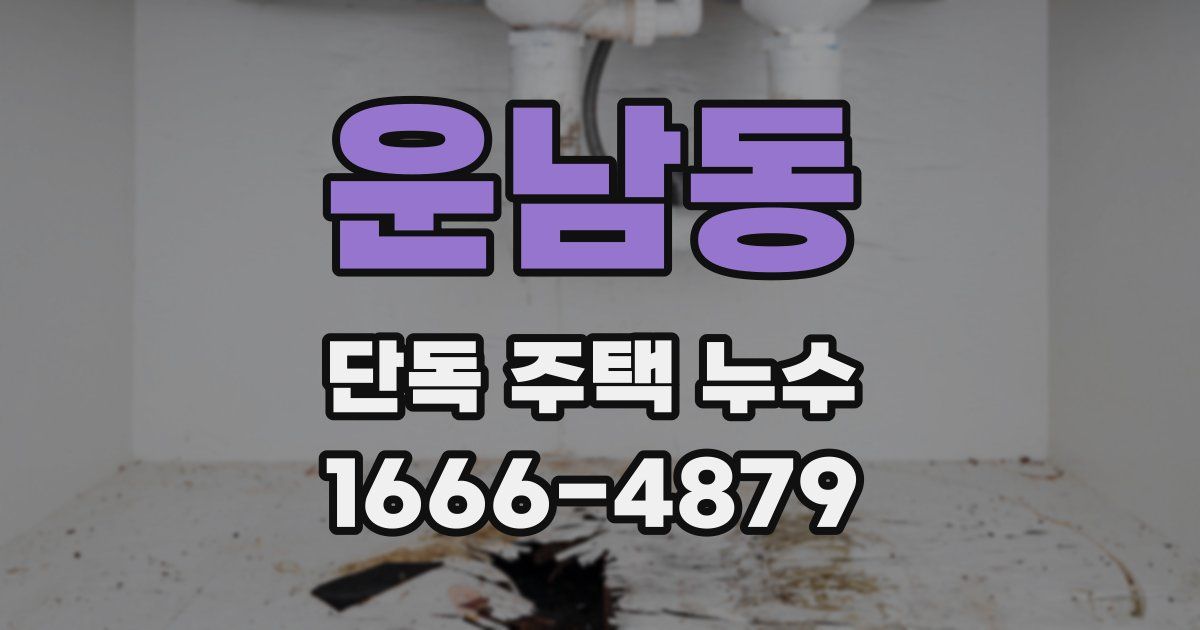 운남동 단독 주택 누수