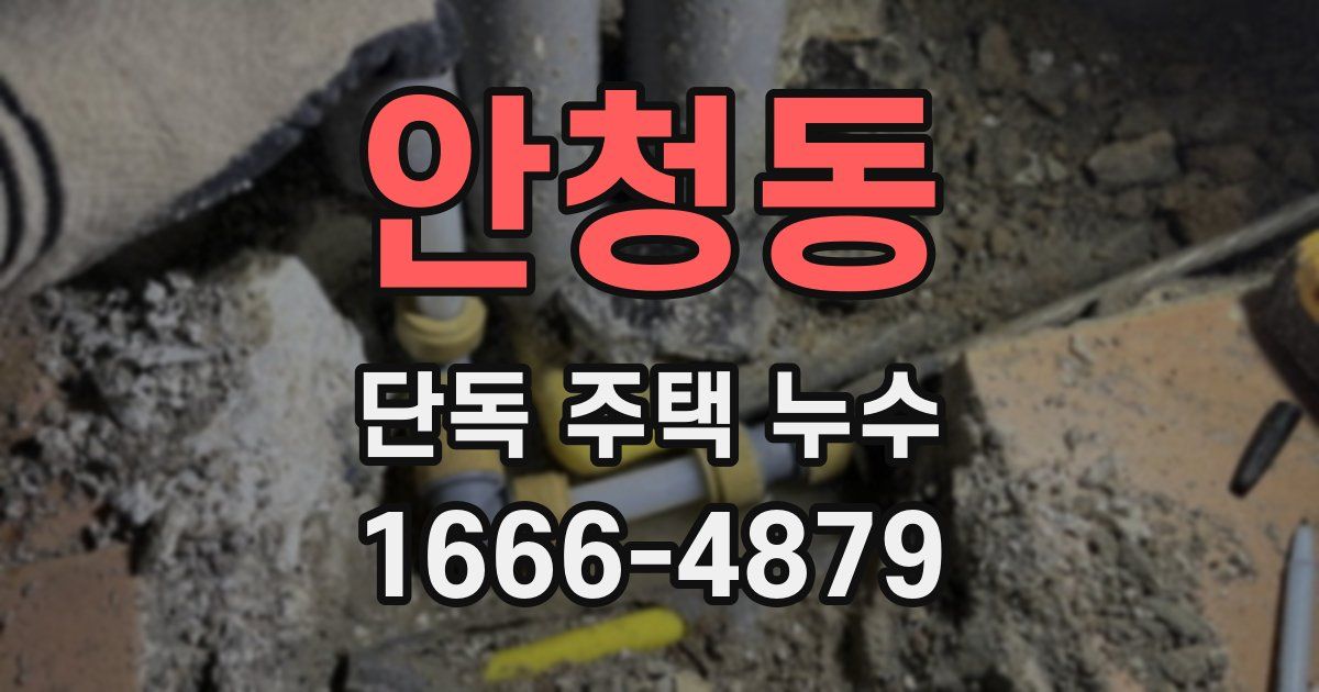 안청동 단독 주택 누수