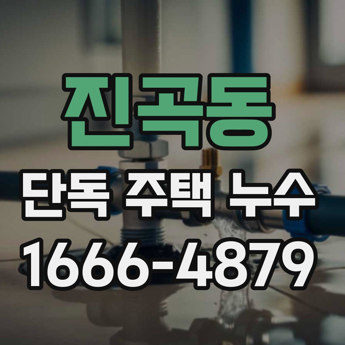 진곡동 단독 주택 누수