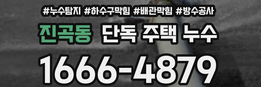 진곡동 단독 주택 누수
