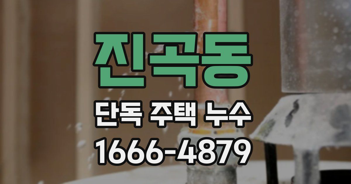 진곡동 단독 주택 누수
