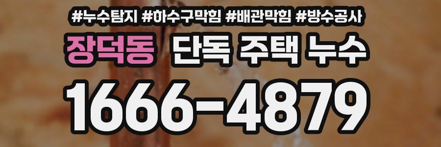 장덕동 단독 주택 누수
