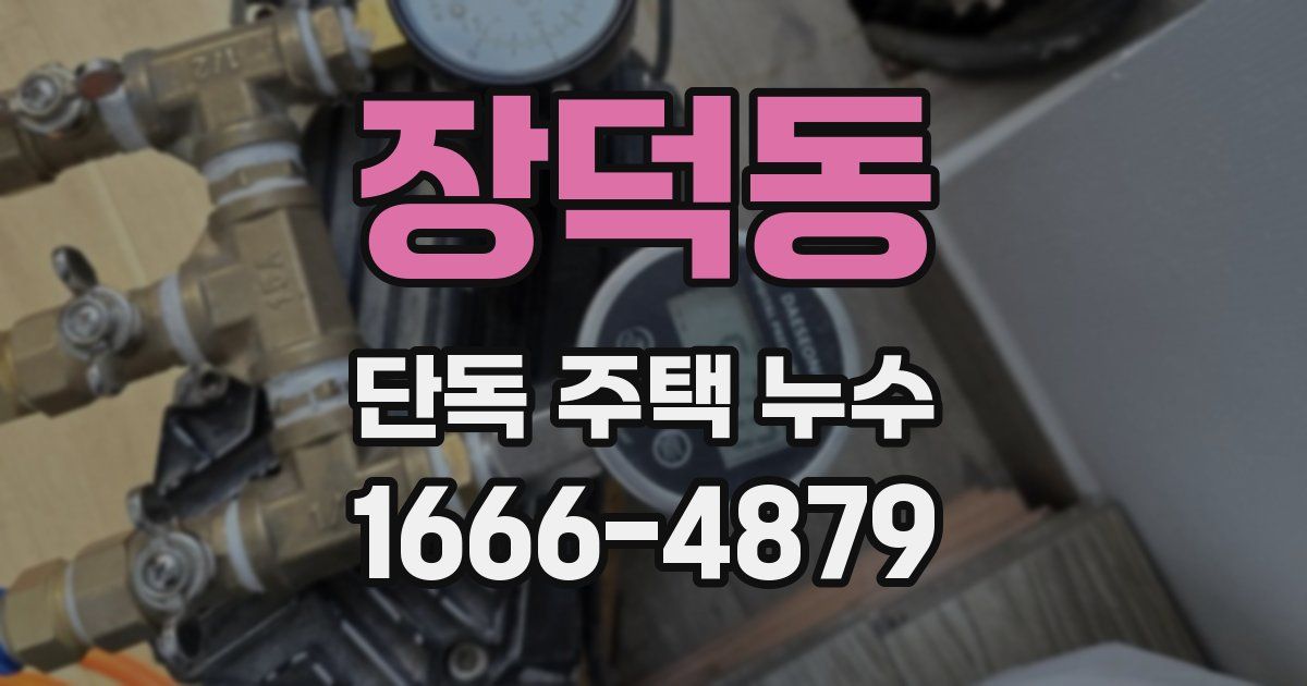 장덕동 단독 주택 누수
