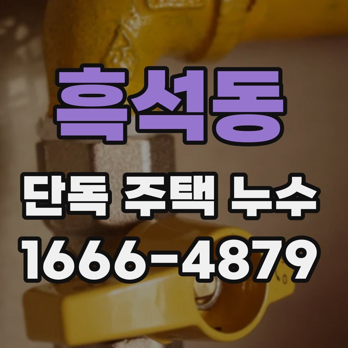흑석동 단독 주택 누수 검사에서 자주 확인하는 항목