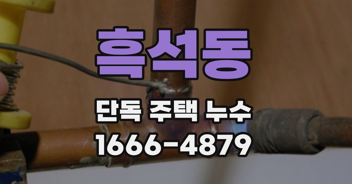 흑석동 단독 주택 누수