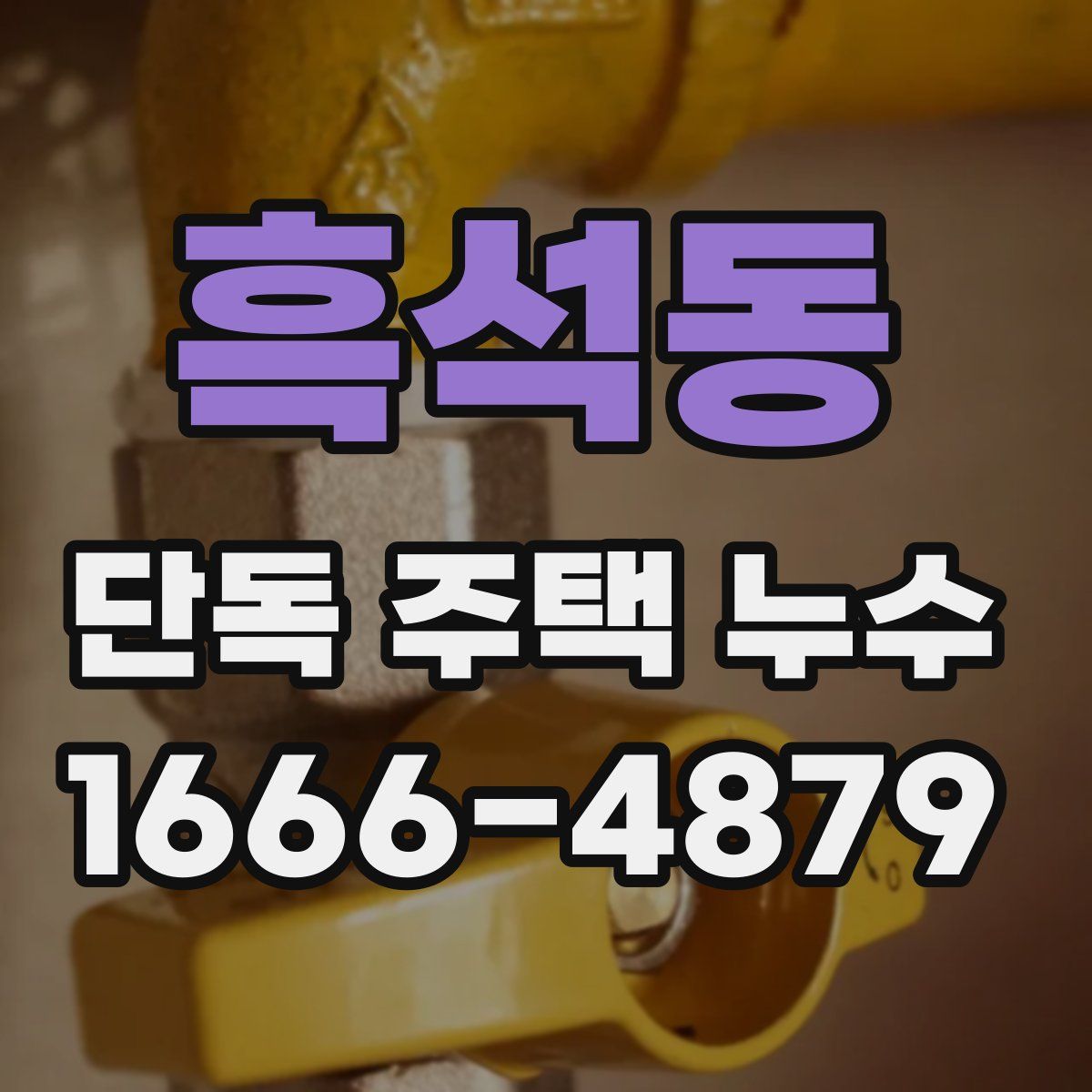 흑석동 단독 주택 누수
