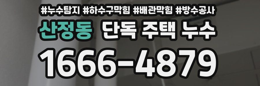 산정동 단독 주택 누수