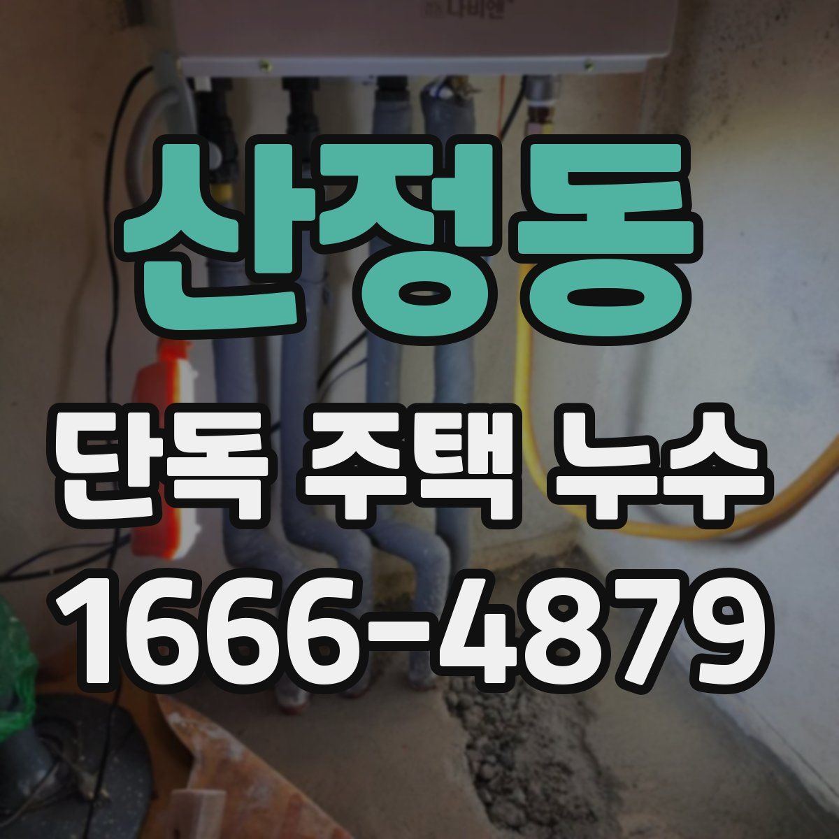 산정동 단독 주택 누수
