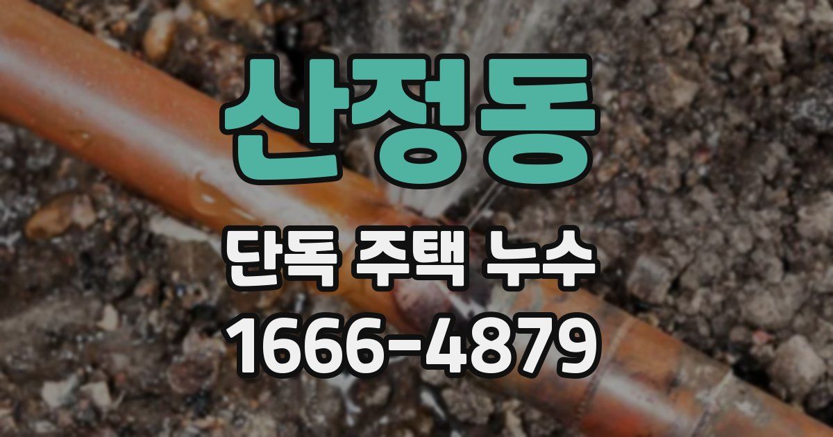산정동 단독 주택 누수