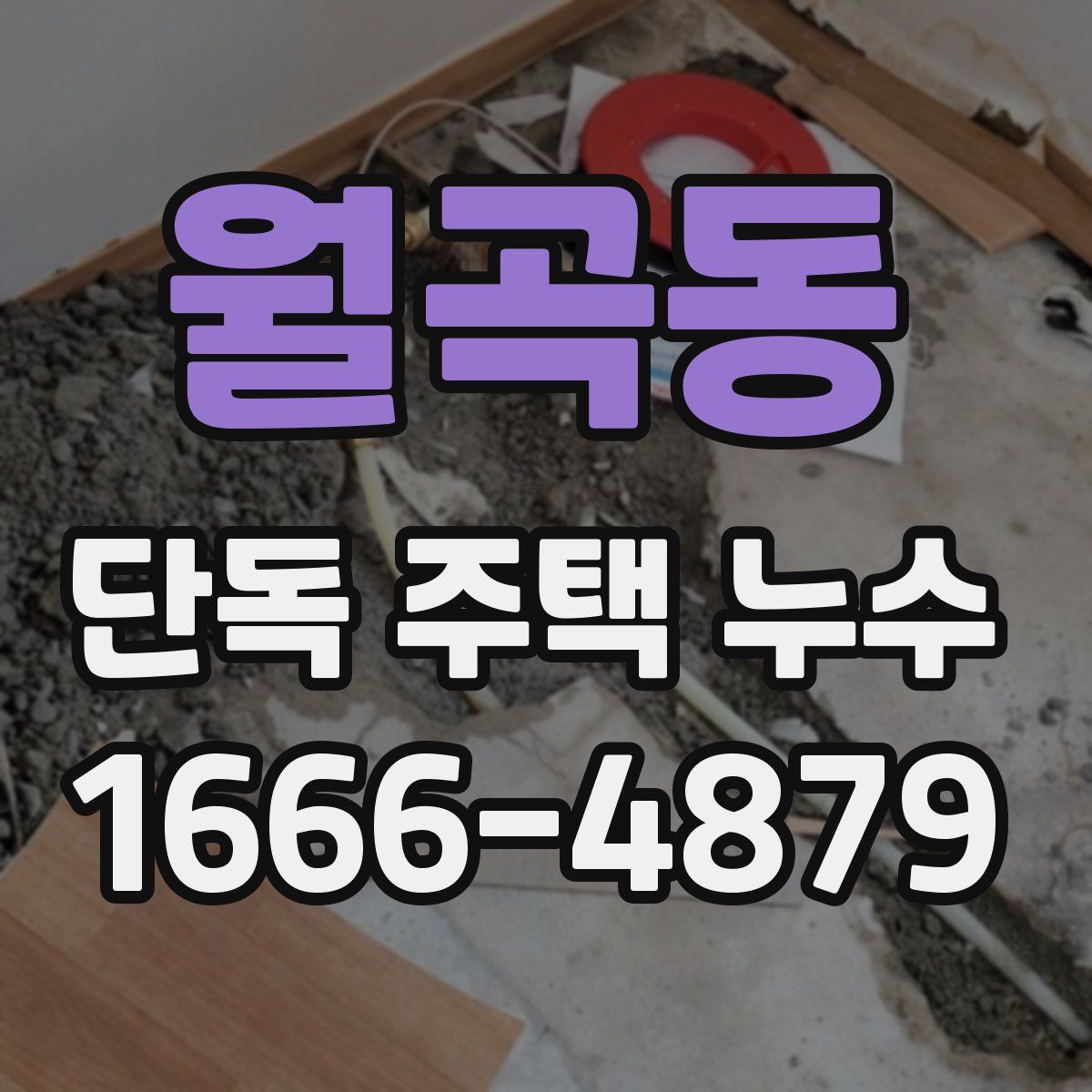 월곡동 단독 주택 누수