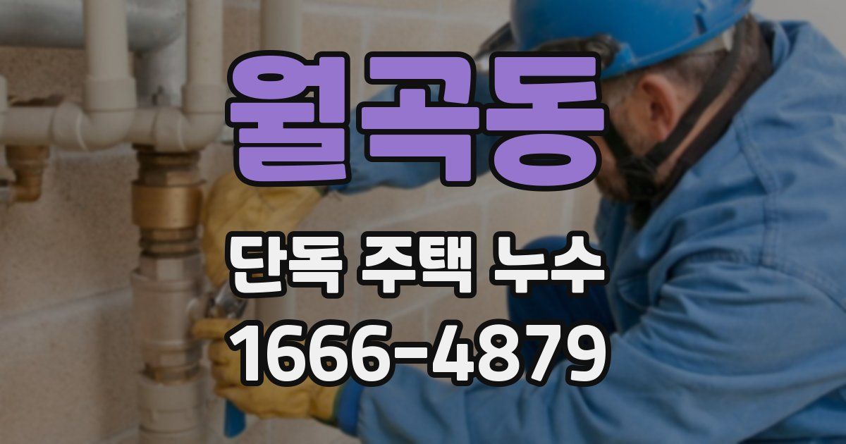 월곡동 단독 주택 누수