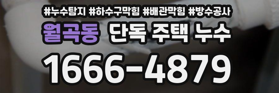 월곡동 단독 주택 누수