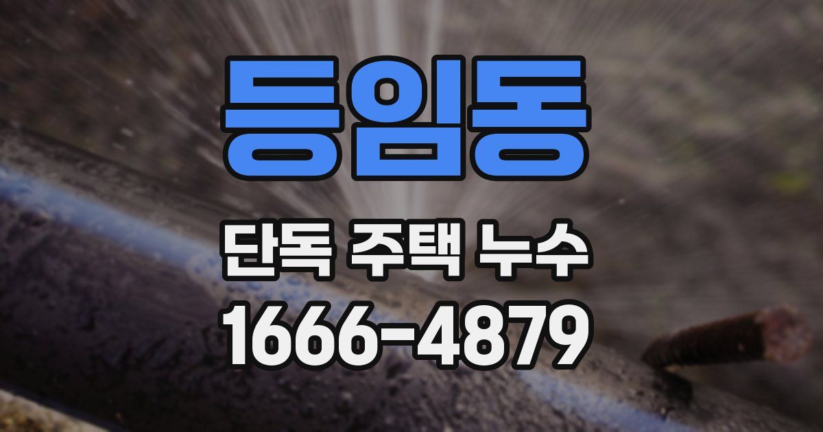 등임동 단독 주택 누수