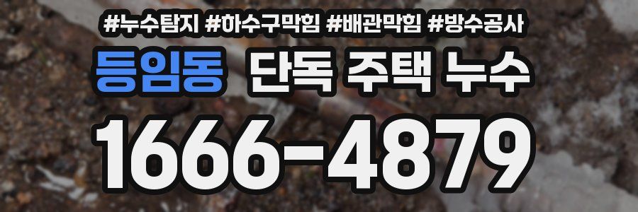 등임동 단독 주택 누수