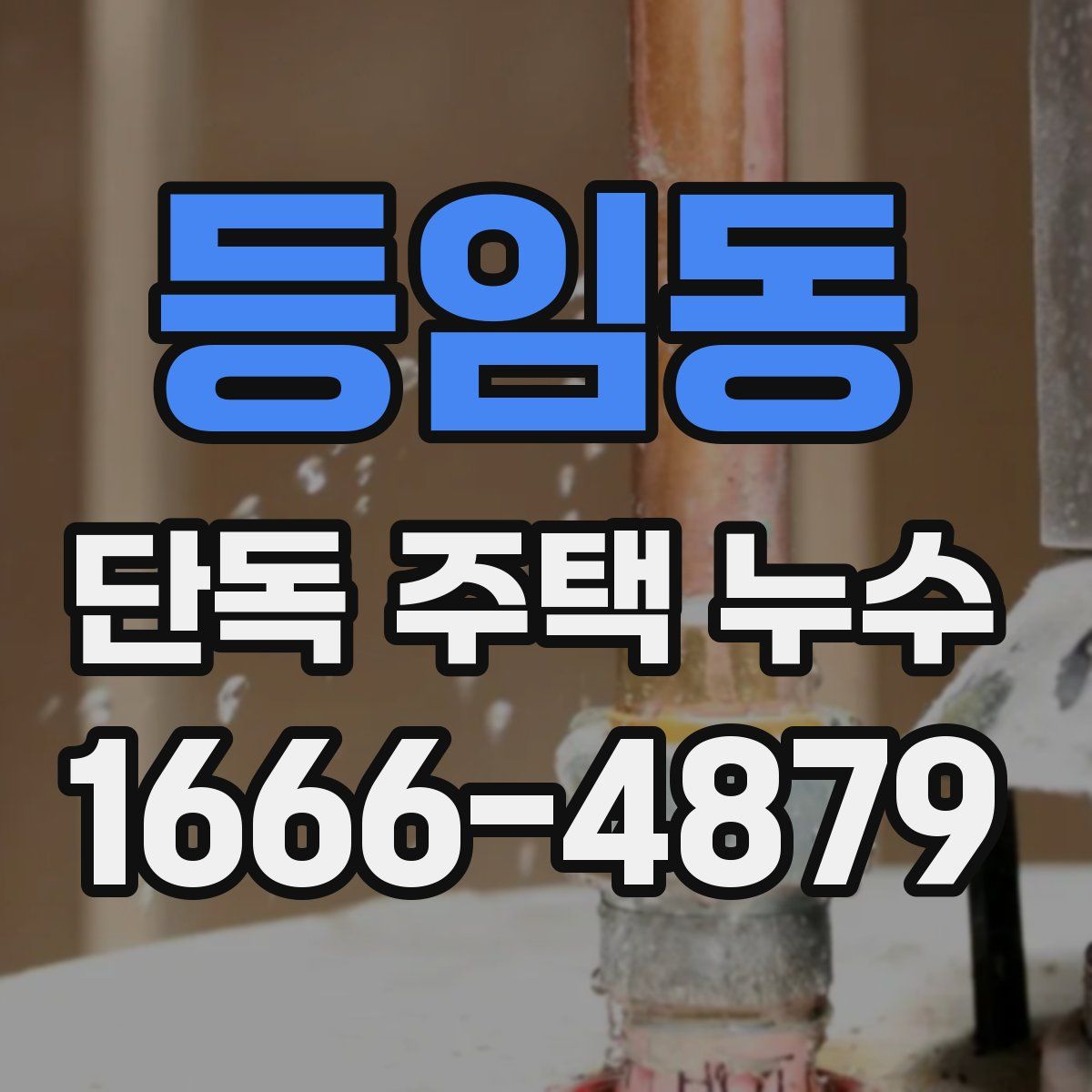 등임동 단독 주택 누수