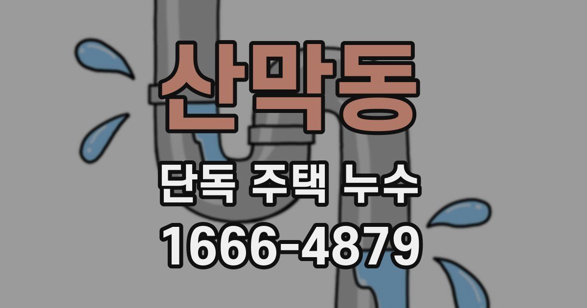 산막동 단독 주택 누수