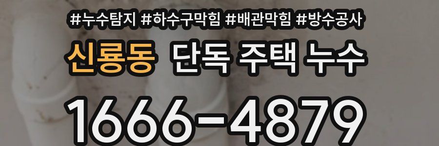 신룡동 단독 주택 누수