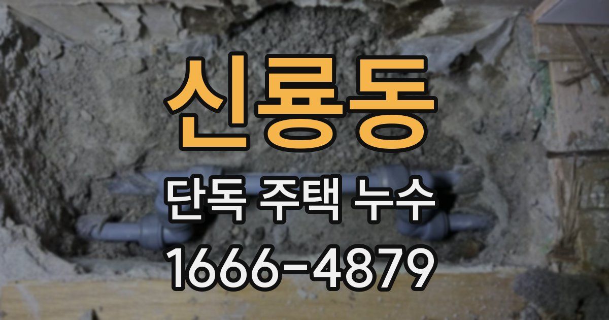 신룡동 단독 주택 누수