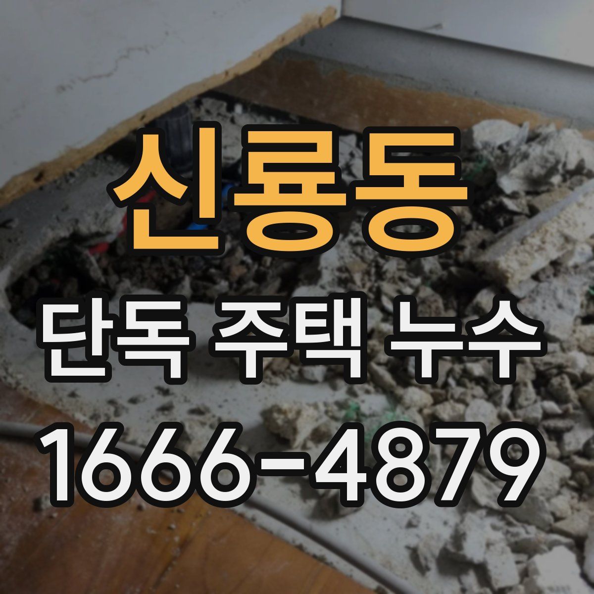 신룡동 단독 주택 누수