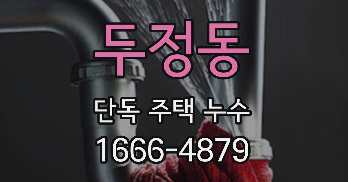 두정동 단독 주택 누수