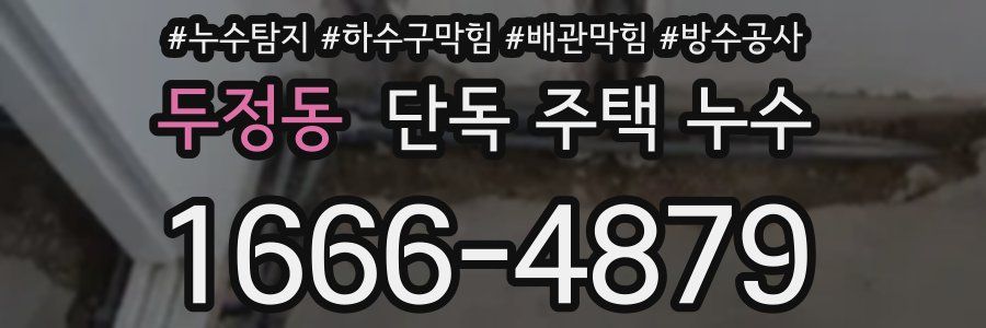 두정동 단독 주택 누수