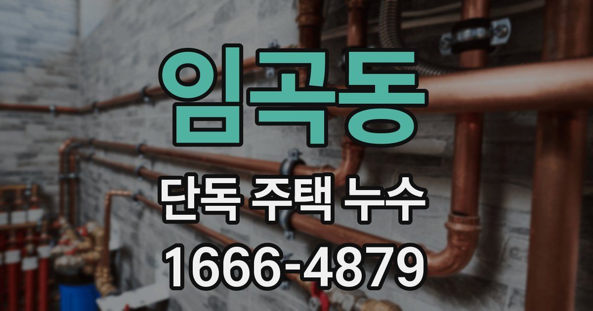 임곡동 단독 주택 누수