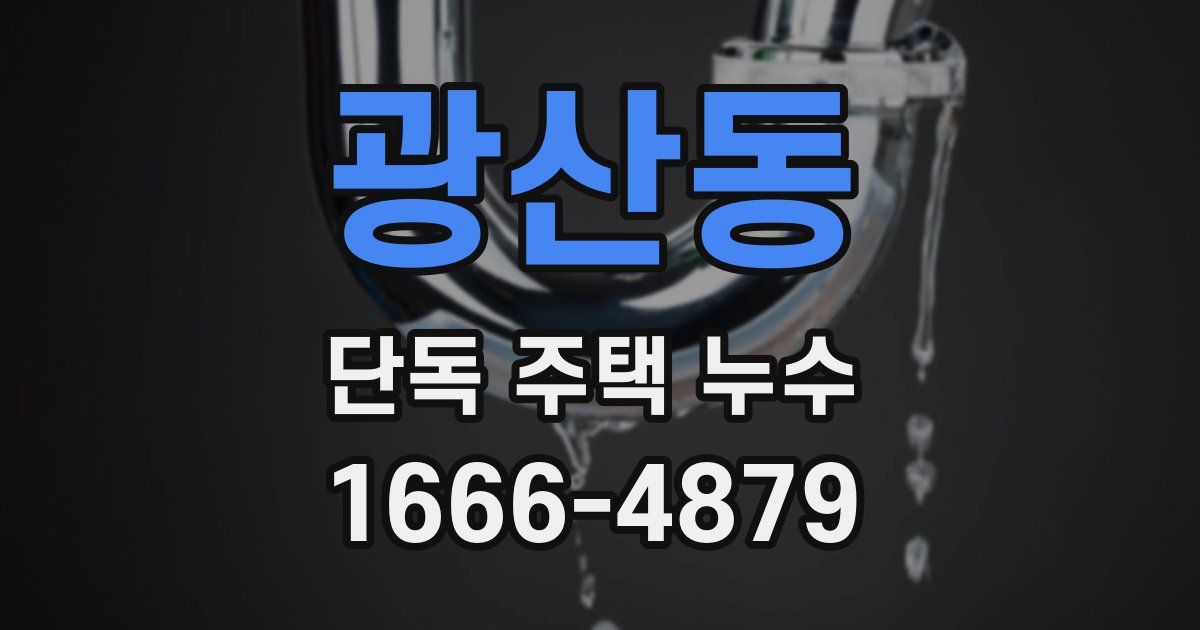 광산동 단독 주택 누수