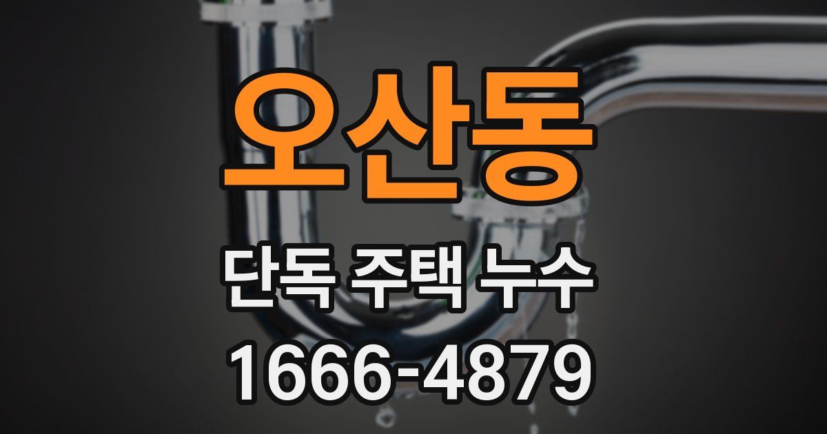오산동 단독 주택 누수