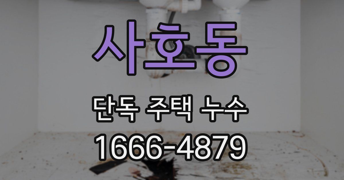 사호동 단독 주택 누수