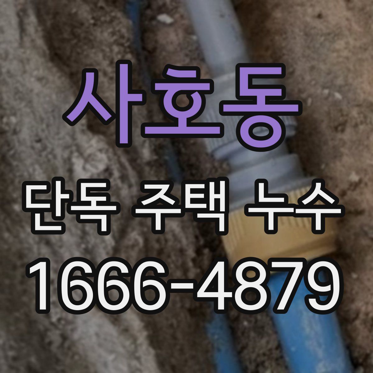 사호동 단독 주택 누수