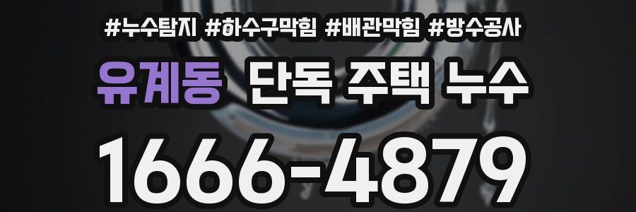 유계동 단독 주택 누수