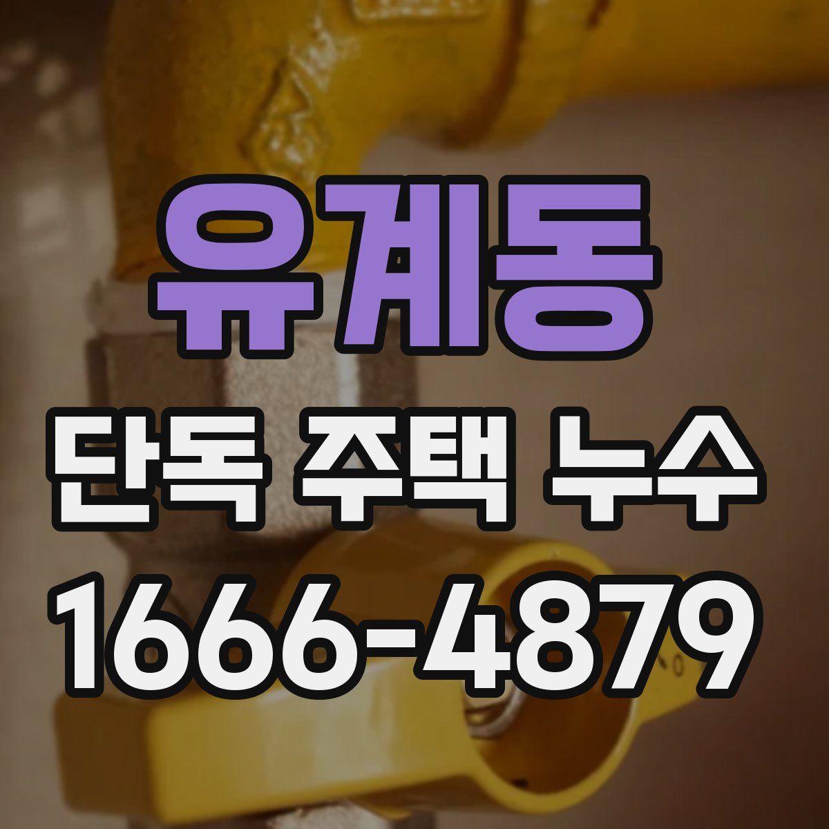 유계동 단독 주택 누수