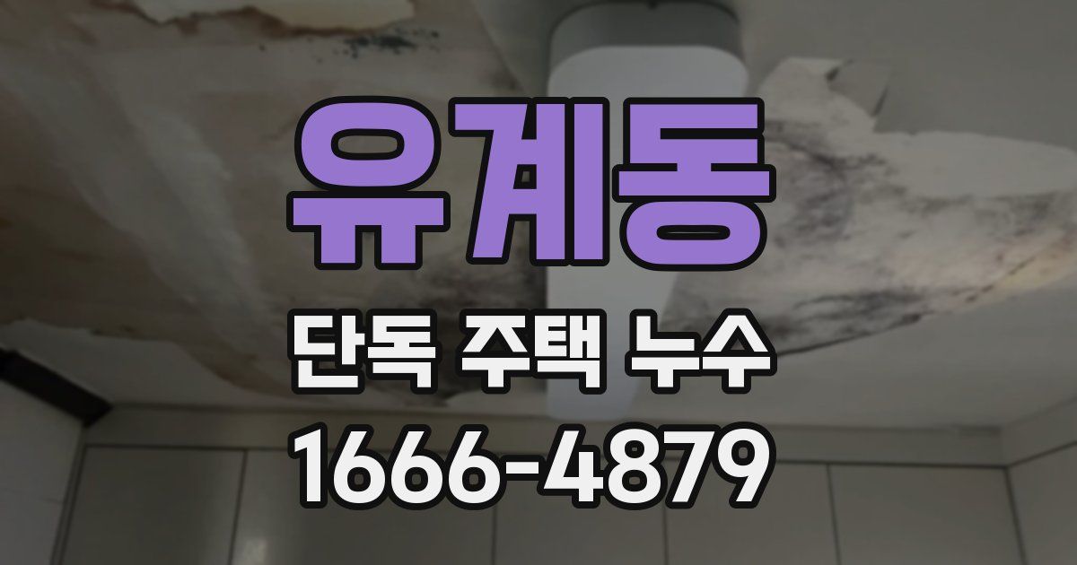 유계동 단독 주택 누수