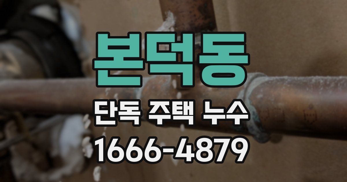 본덕동 단독 주택 누수