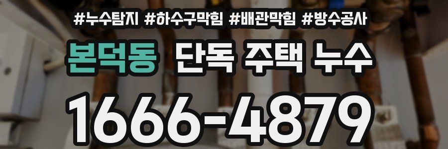 본덕동 단독 주택 누수