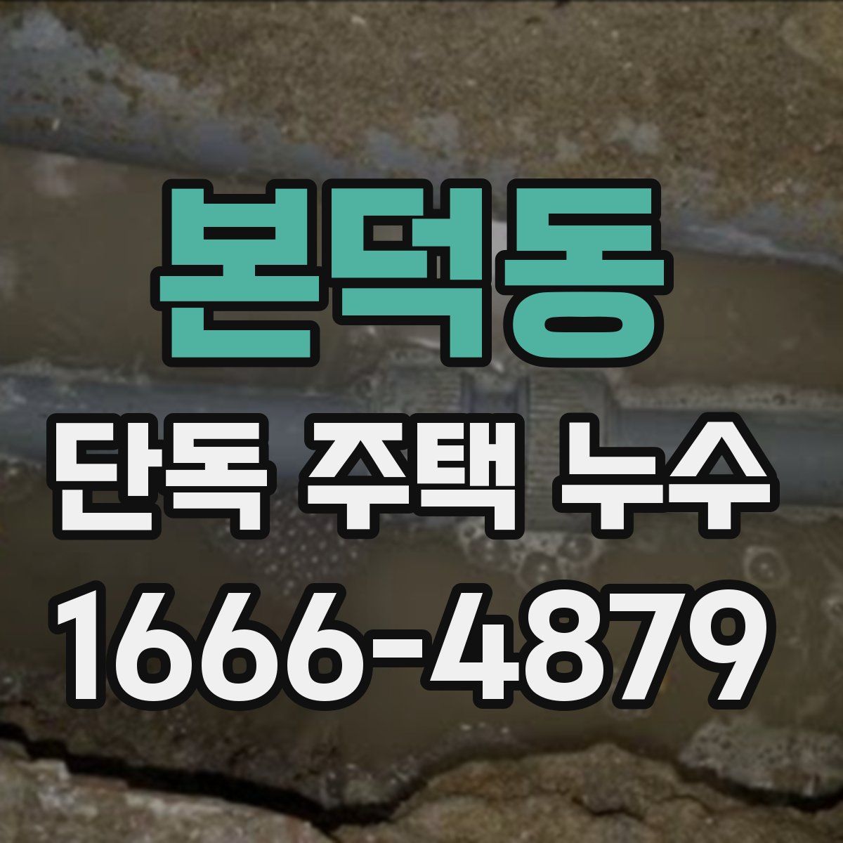 본덕동 단독 주택 누수