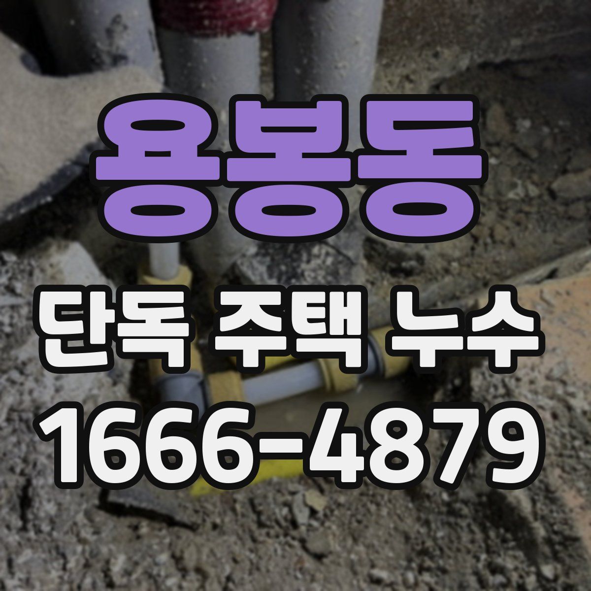 용봉동 단독 주택 누수