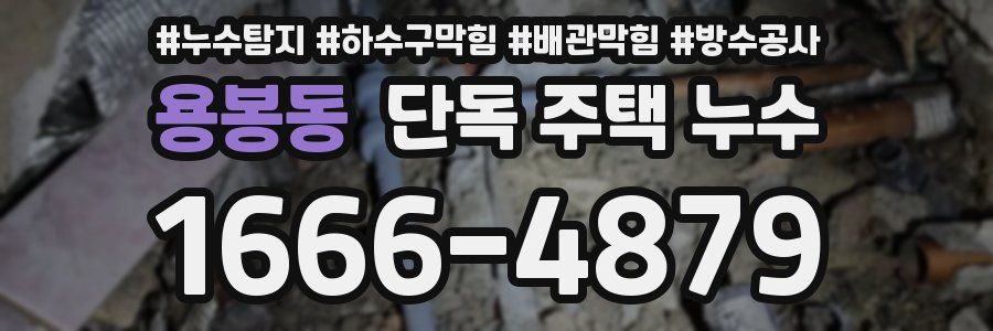 용봉동 단독 주택 누수