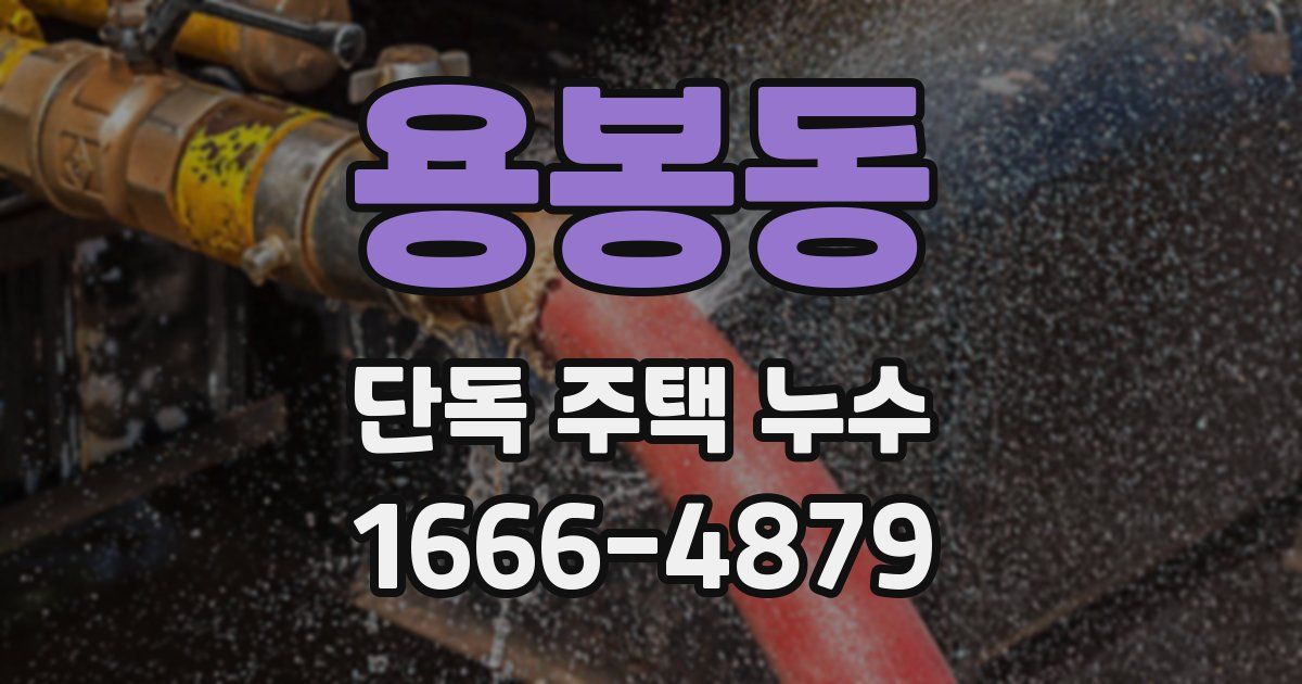 용봉동 단독 주택 누수