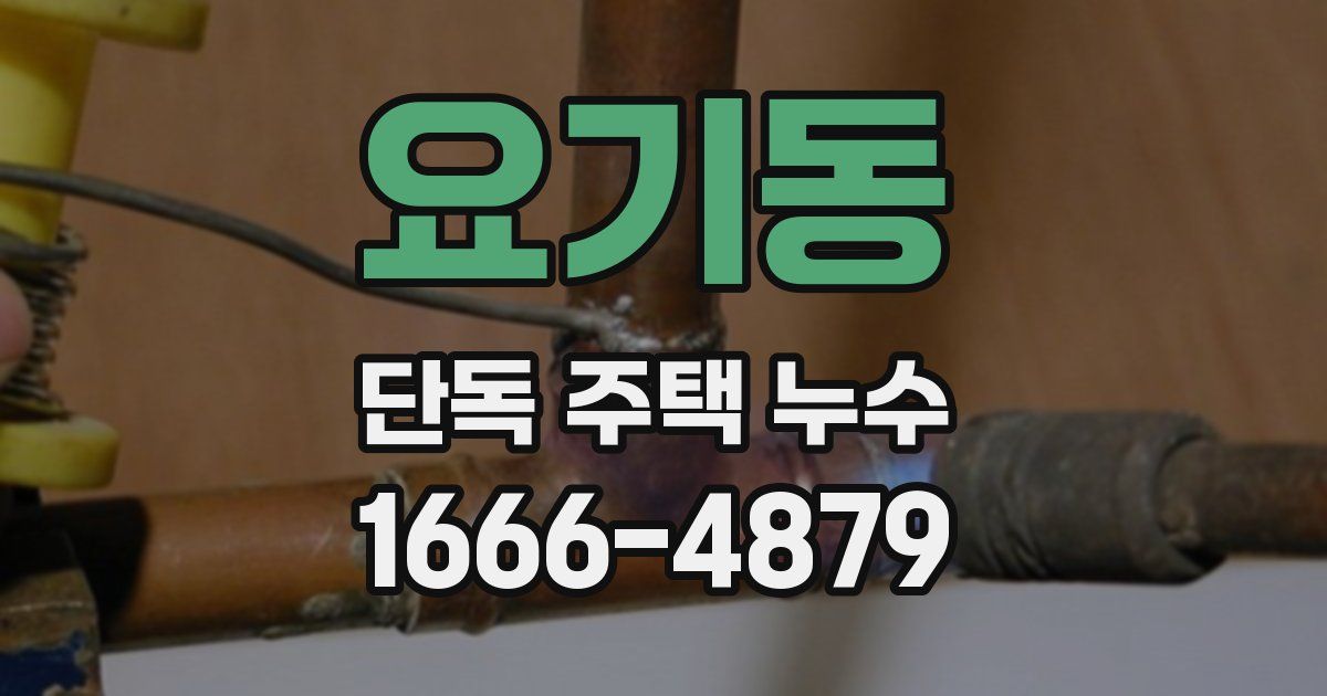 요기동 단독 주택 누수