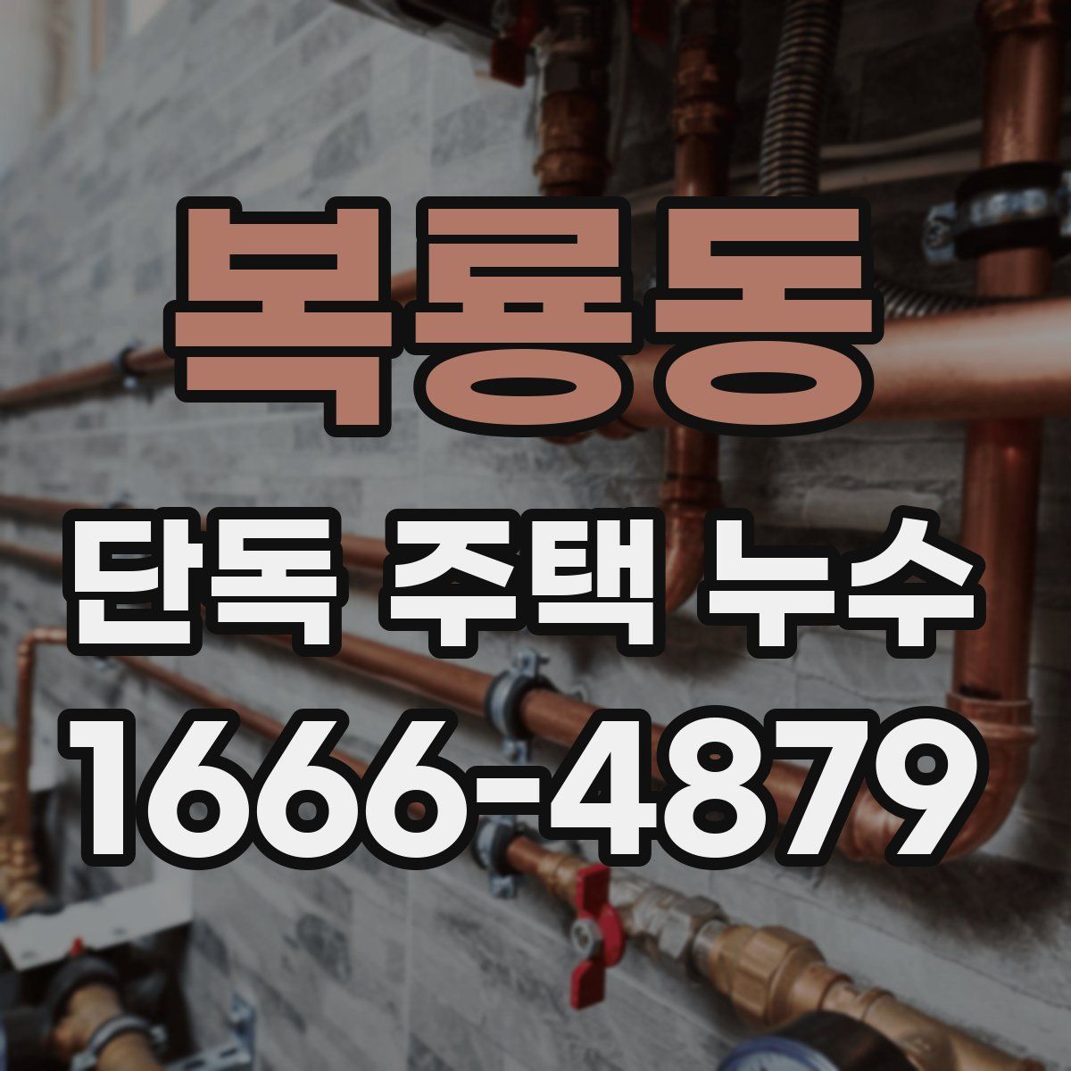 복룡동 단독 주택 누수
