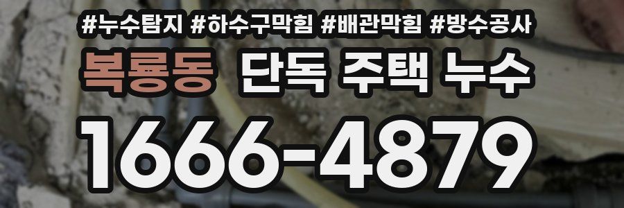 복룡동 단독 주택 누수