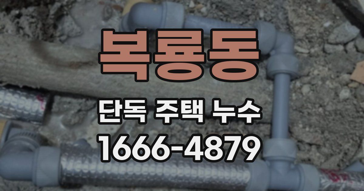 복룡동 단독 주택 누수