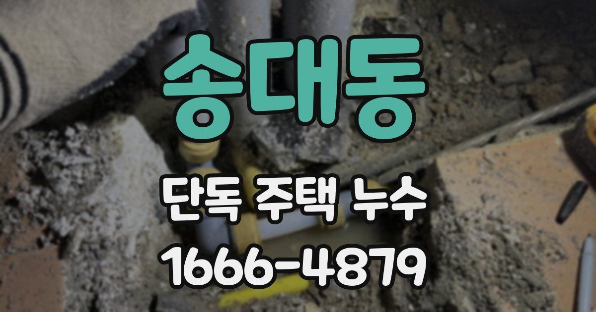 송대동 단독 주택 누수
