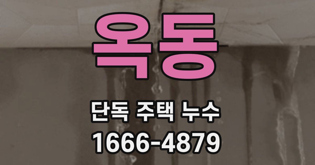 옥동 단독 주택 누수