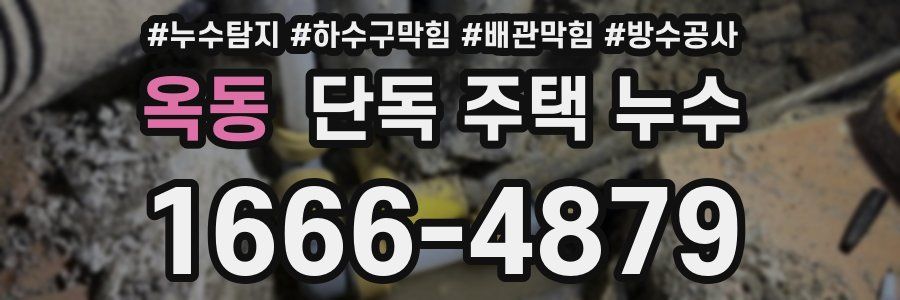 옥동 단독 주택 누수
