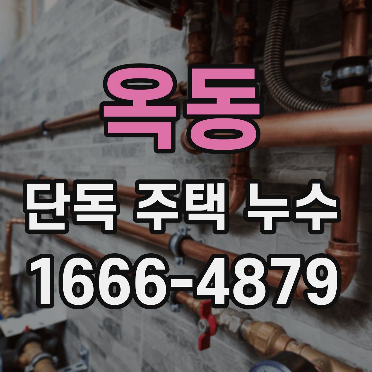 옥동 단독 주택 누수