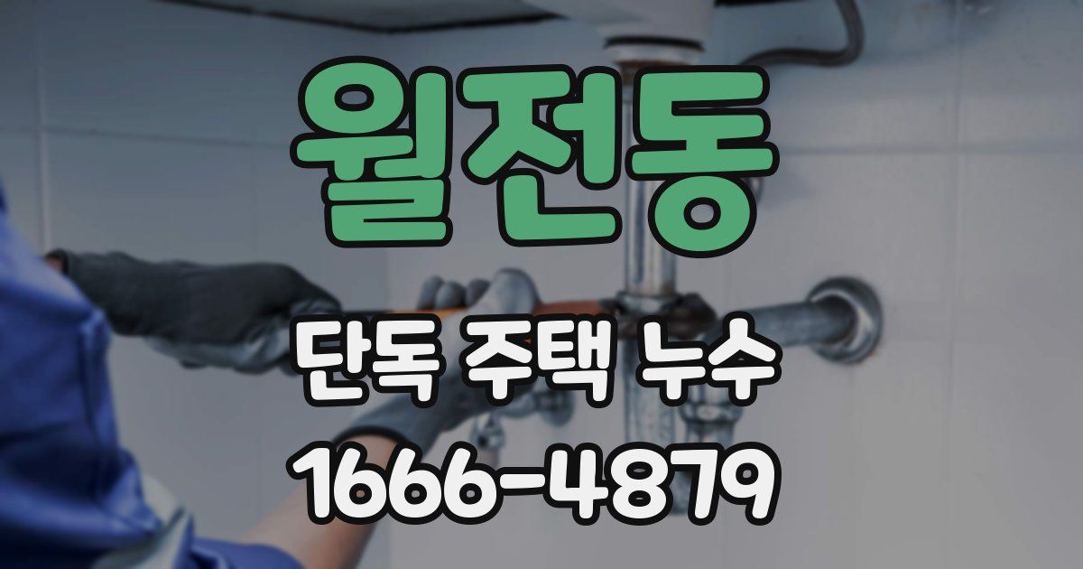 월전동 단독 주택 누수
